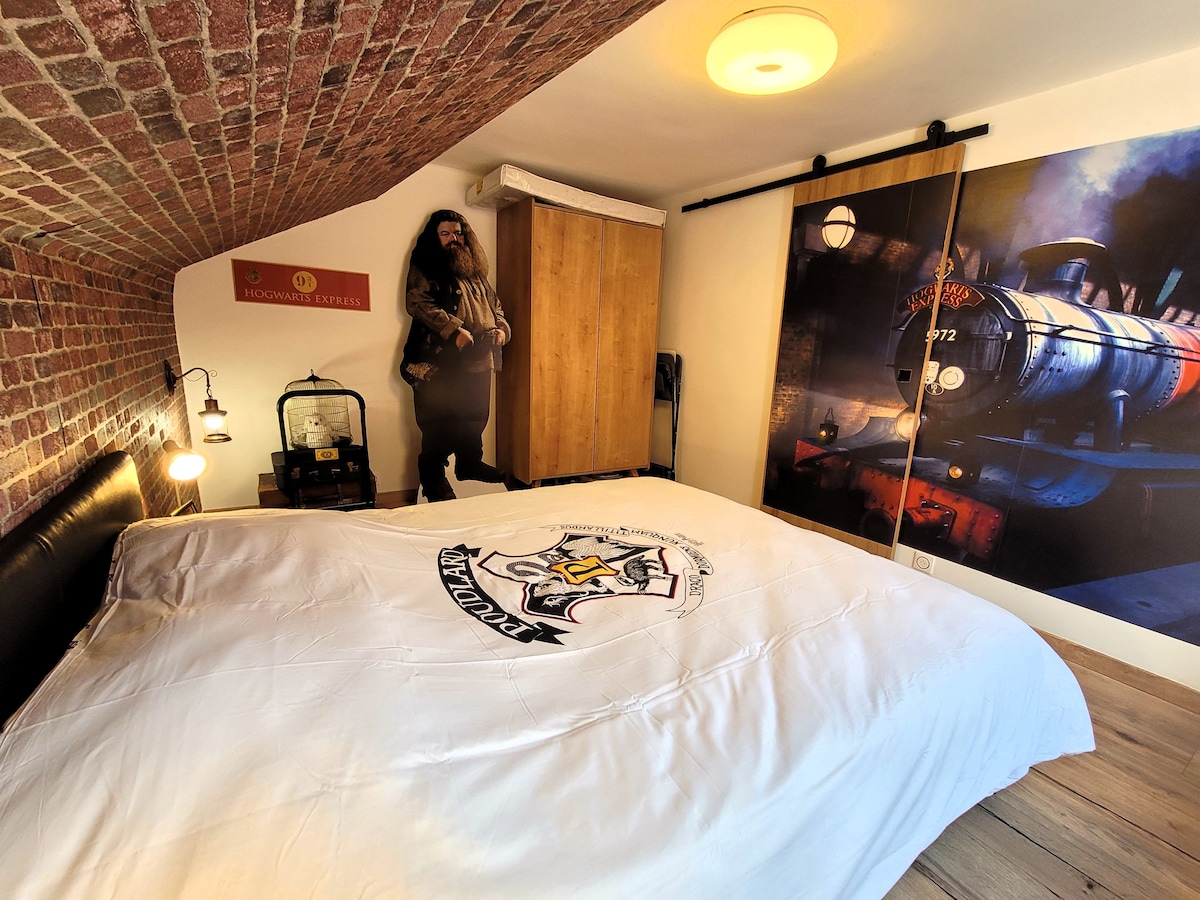 Embarquez au pays des rêves par la voie 9 3/4.