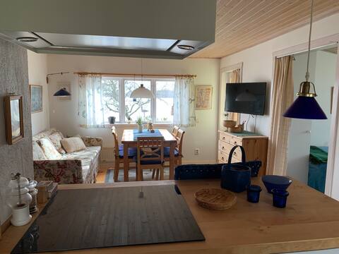 Top performing Airbnb: Fantastic little cottage next to the lake in Hylte