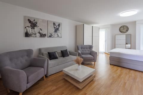 Cozy apartment in Zurich with free parking