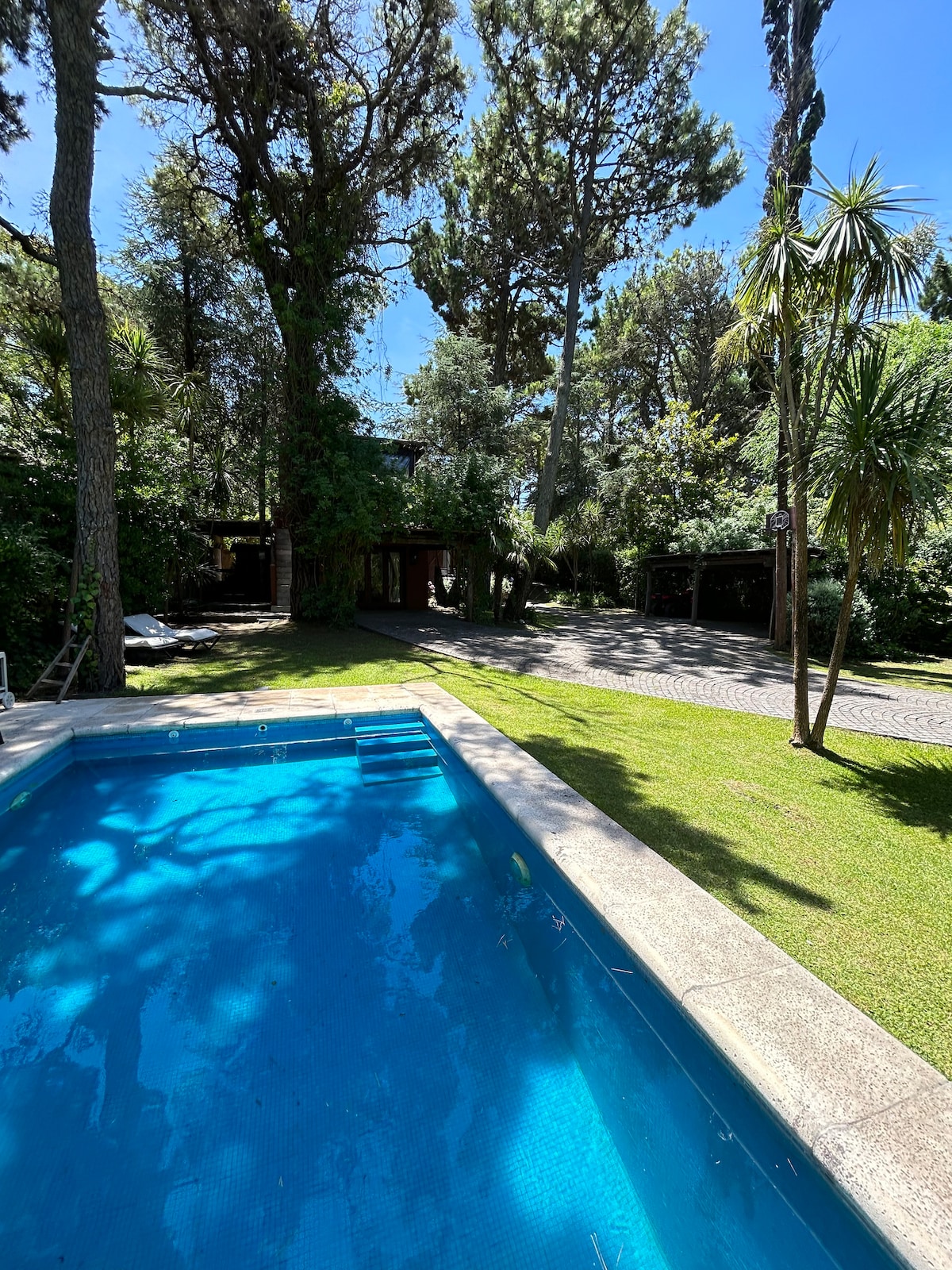 A clear view of a private swimming pool set against a backdrop of lush greenery and tall trees. Sunlight casts playful shadows on the water's surface, highlighting the serene outdoor space. The surrounding area features a well-maintained lawn and hints of the house in the distance.