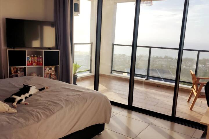 Პაკო ისვენებს:)