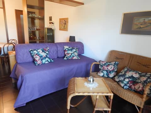 Successful Airbnb property: flora 46 vacation home in Gorizia