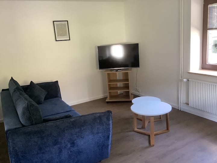 הסלון עשוי משתי ספות  (ספה נפתחת)שתי מיטות ל -4 נפשות. 