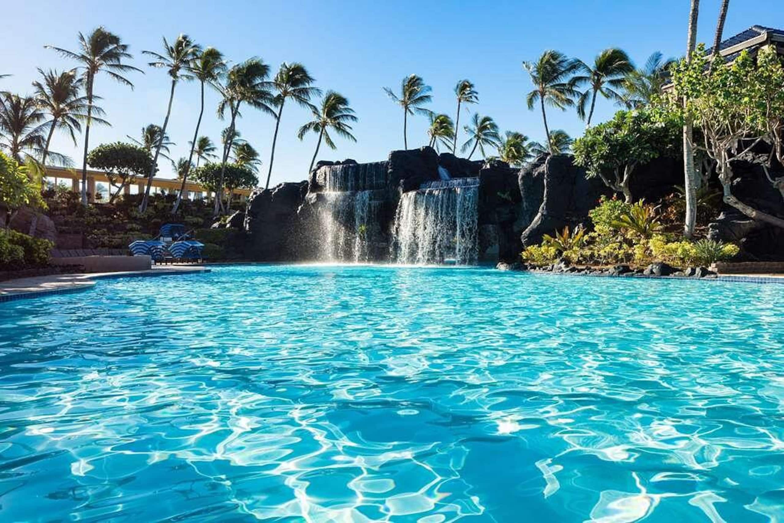 Hotel in Waikoloa Village · ★5.0 · Studio · 2 beds · 1 private bath - Photo 12
