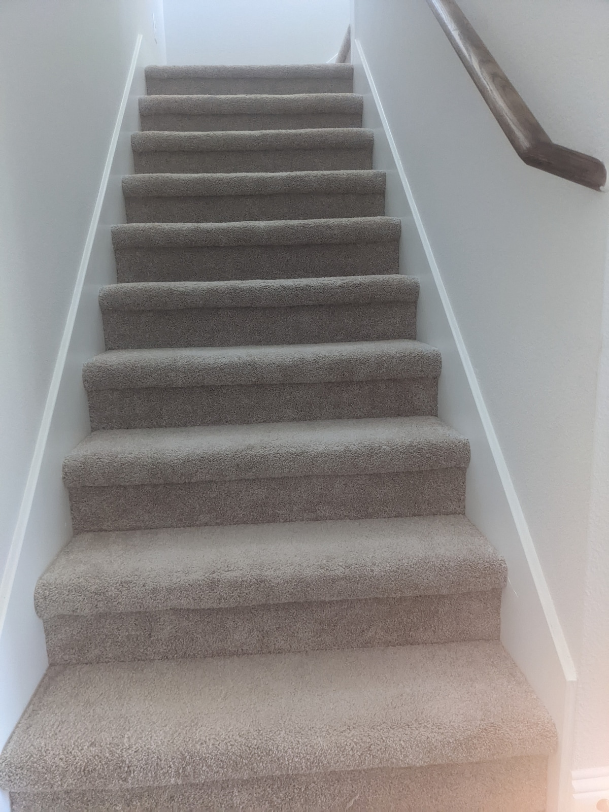 A carpeted staircase is presented, featuring soft beige stair treads and a white wall on both sides. The handrail is made of polished wood, providing a warm contrast. Natural light fills the space from the upper landing, creating a bright environment.
