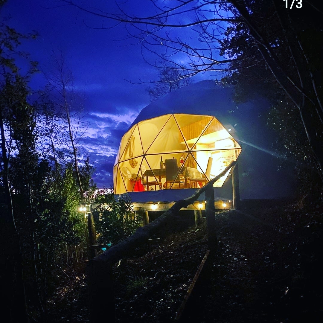 A geodesic dome structure is softly illuminated at dusk, nestled among trees. Comfortable dining furniture is placed inside, visible through large, transparent panels. External lighting highlights steps leading to the entrance, surrounded by natural foliage, creating a serene ambiance for evening gatherings.