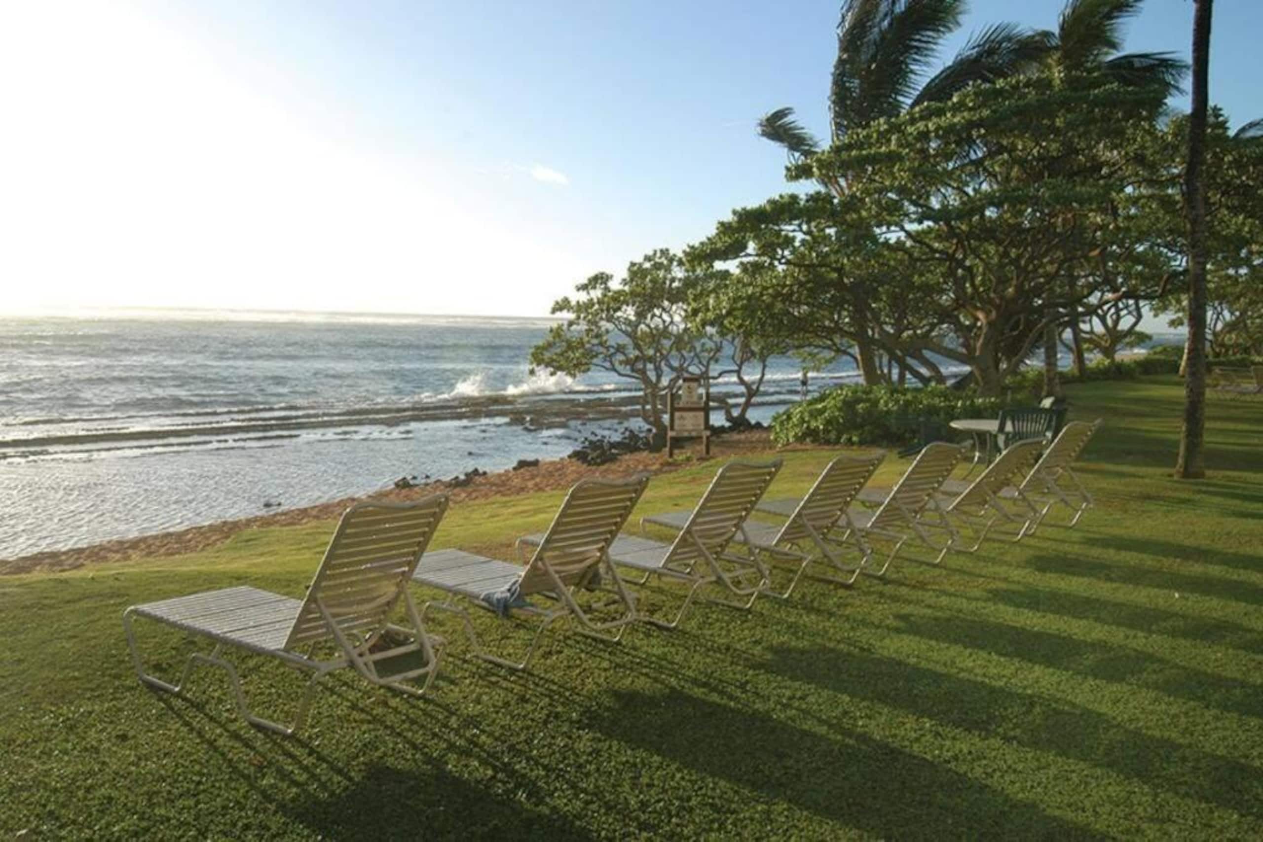 Cozy 1BR Kauai Beachfront Condo! - Photo 3
