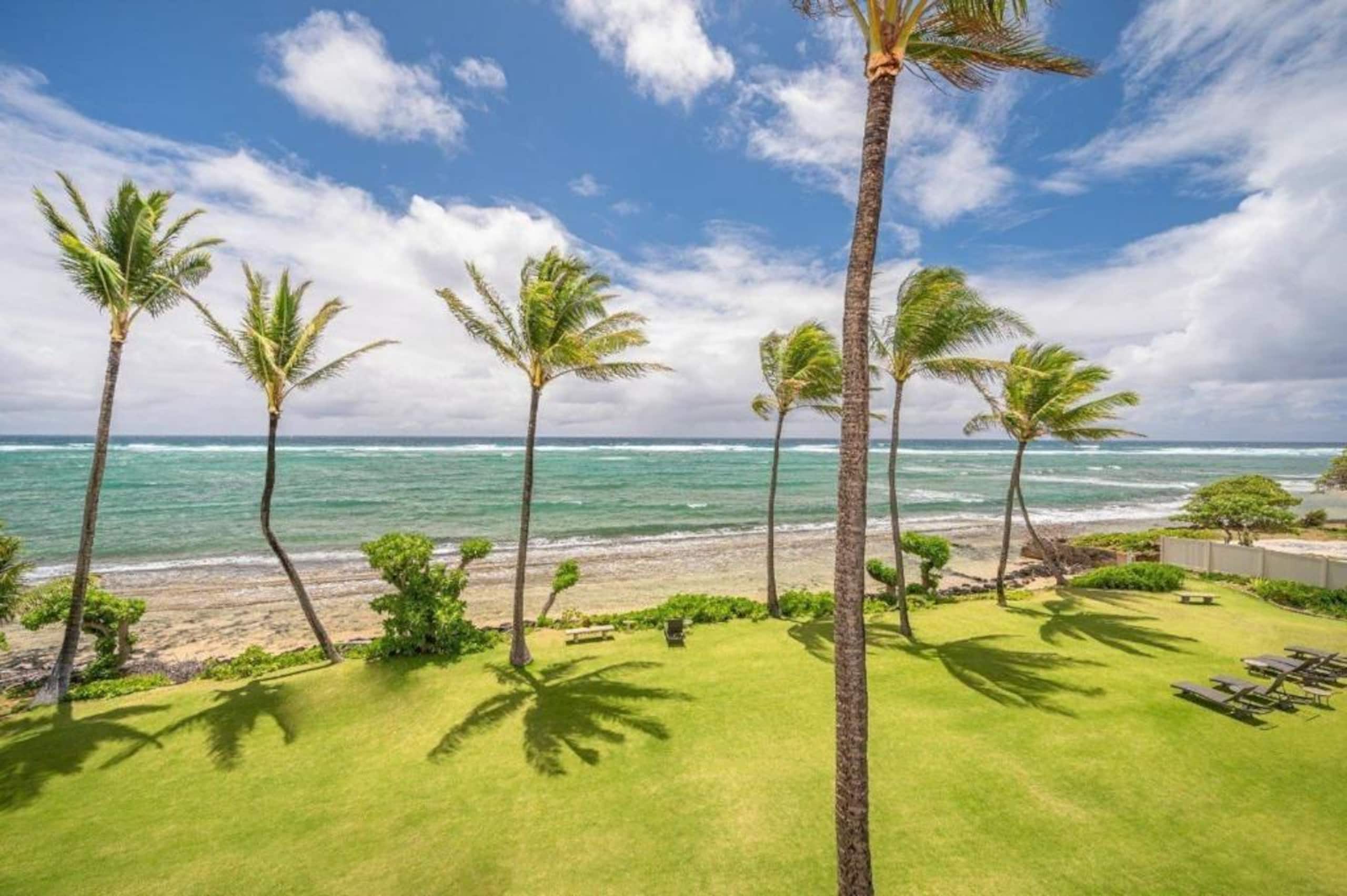 Cozy 1BR Kauai Beachfront Condo! - Photo 12