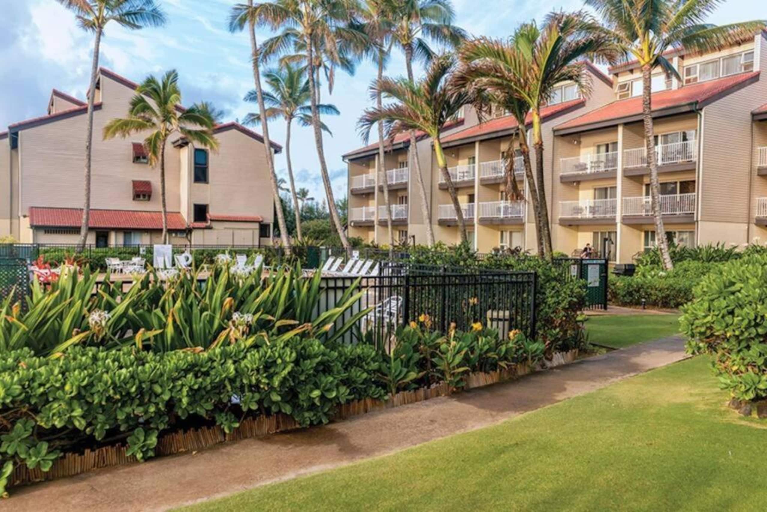 Cozy 1BR Kauai Beachfront Condo! - Photo 7
