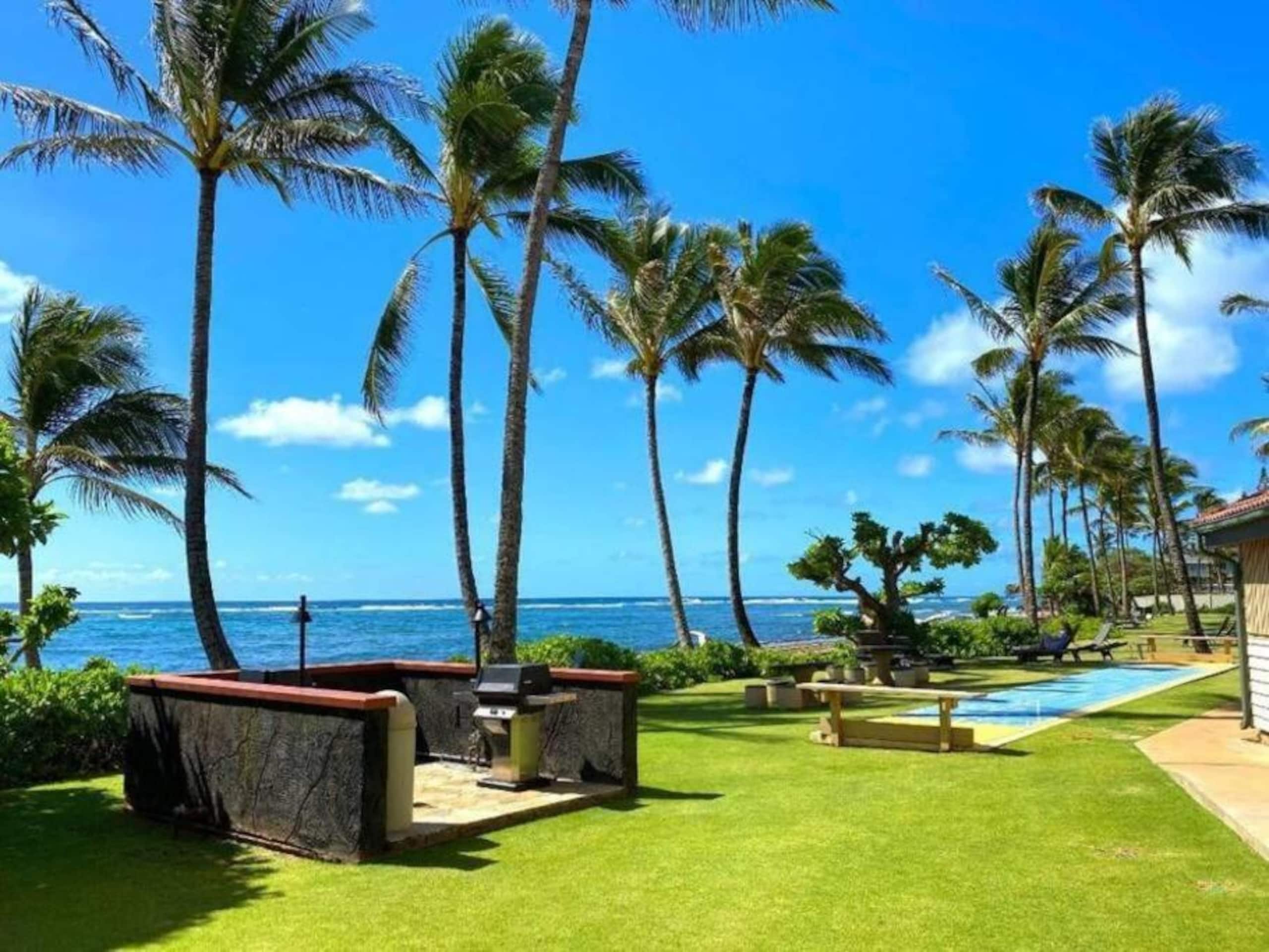 Cozy 1BR Kauai Beachfront Condo! - Photo 8