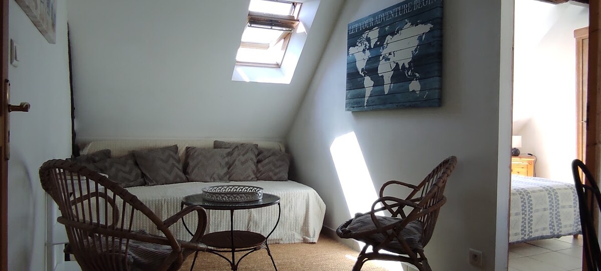 Top Airbnb: Le logis des Arènes: "Les Lilas" apartment in Le Mans