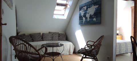 Top Airbnb: Le logis des Arènes: "Les Lilas" apartment in Sarthe