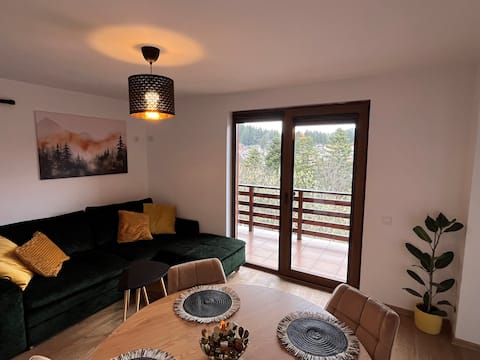 Top Airbnb: Cozy flat with spectacular views in Sinaia