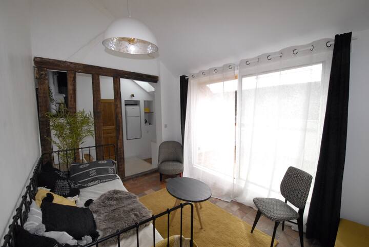Appartement Charme Avec Terrasse - Montargis