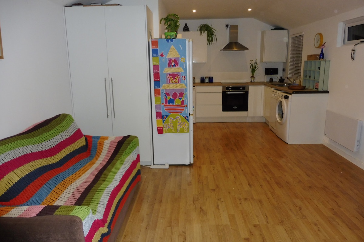 A self-contained studio apartment features a spacious kitchen area with modern appliances, including an oven and washing machine. A colorful striped sofa is positioned in the living space. Light wood flooring complements the contemporary design, while potted plants add a touch of greenery.