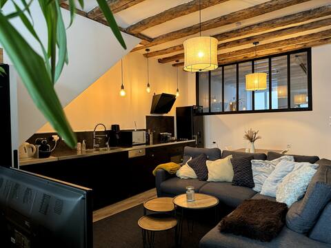 Cozy apartment in the center of Grenoble