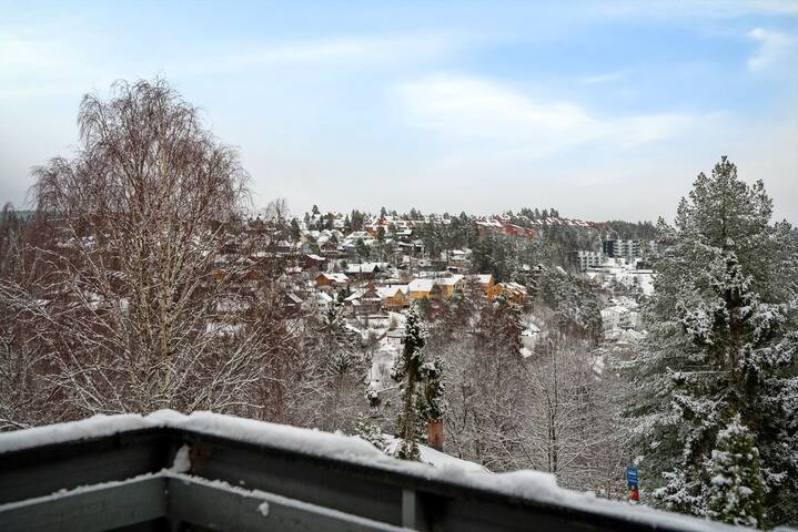 Hel Enebolig, nyoppusset. gallery image 5