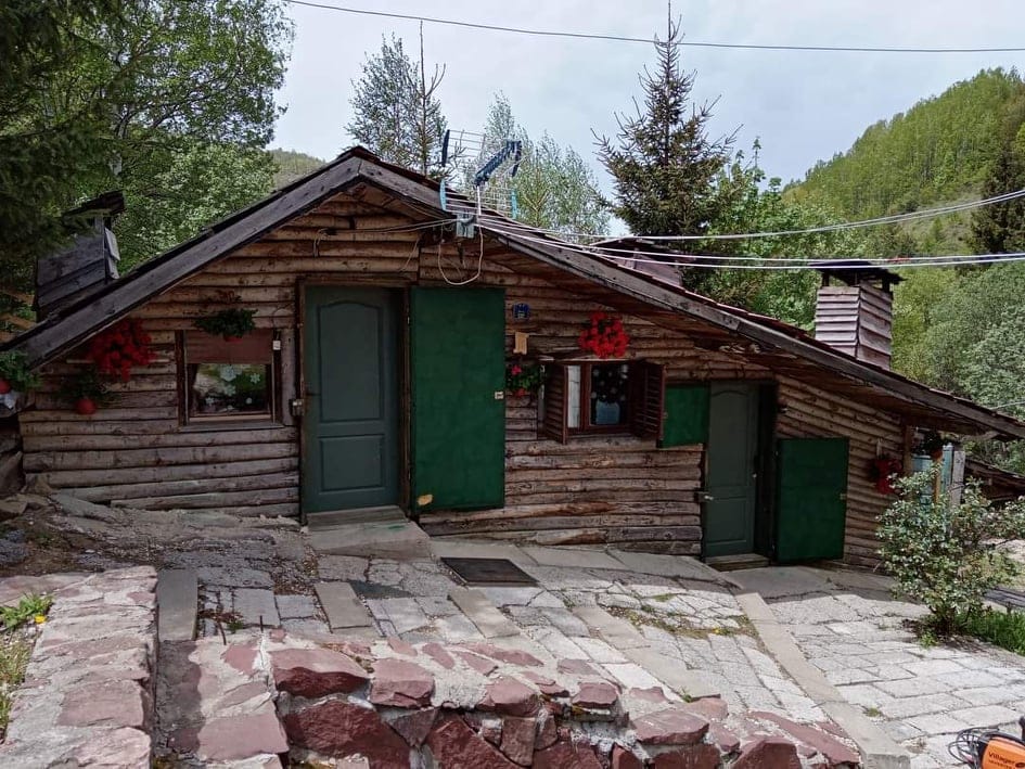 A rustic wooden cabin is depicted, featuring a sloped roof and green doors. Window boxes with vibrant red flowers are present on the outside. Stone steps lead up to the entrance, emphasizing the natural surroundings with greenery in the background.