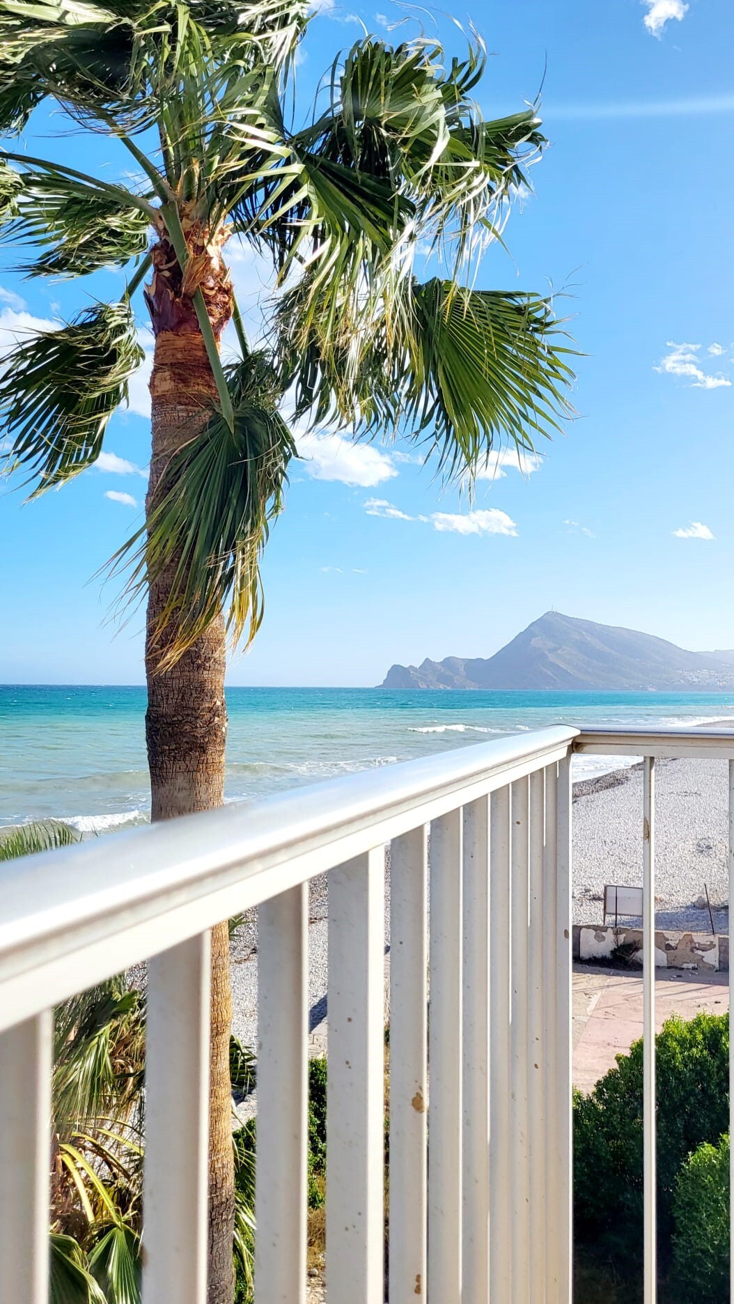 The view from the balcony features a vibrant palm tree in the foreground, with sparkling blue waters beyond. A sandy beach and distant hills are visible under a clear sky, creating a serene coastal scene.