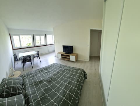 Equipped studio near Geneva and Ferney-Voltaire