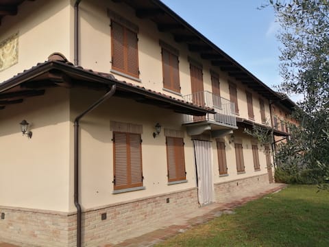 House among the vineyards