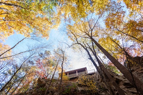 Castle (Pine) Cliff Cabin Private Riverfront