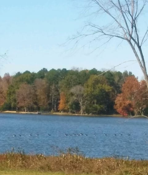 Flying Eagle Lake Retreat