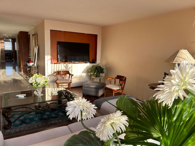 Polanco amplio y cómodo