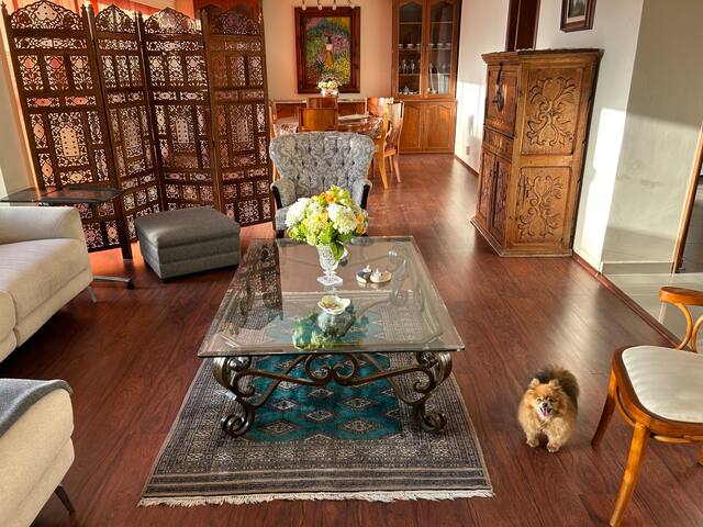 Polanco amplio y cómodo gallery image 3