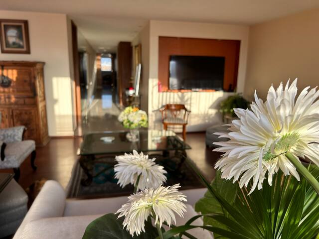 Polanco amplio y cómodo gallery image 2