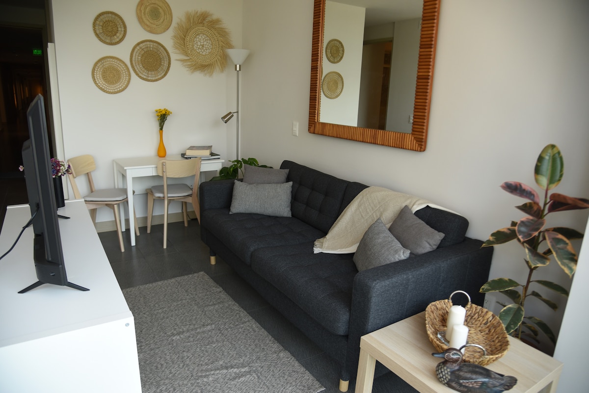 Airbnb con mejor rendimiento: Super located studio with a king bed en Anahuác 1ª Sección