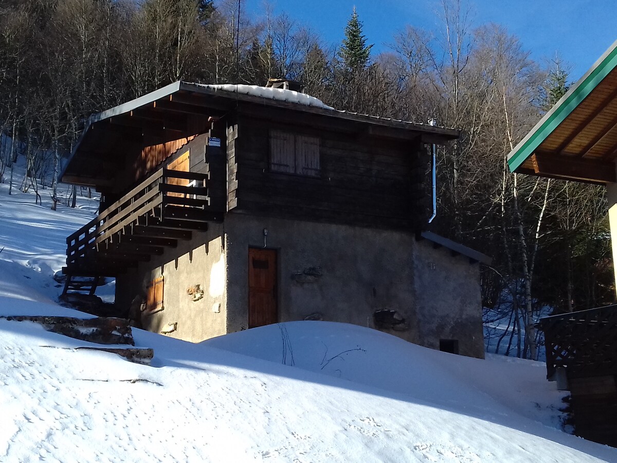 The exterior of a rustic chalet is observed, partially covered by snow. The wooden structure features a balcony with railings, and a front door made of wood. Surrounding trees are visible against a clear blue sky.