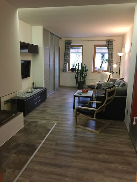 Top performing Airbnb: Apartment in the city center. in České Budějovice