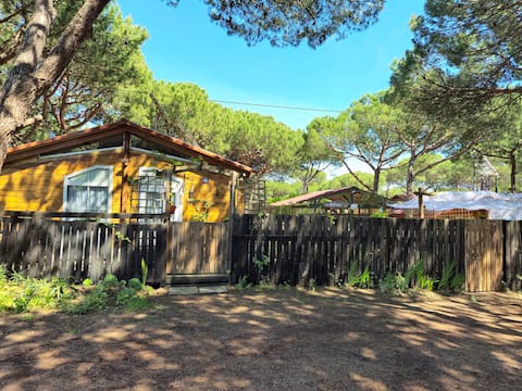 Top performing Airbnb: La Cabane Caparica in União Das Freguesias De Charneca De Caparica E Sobreda
