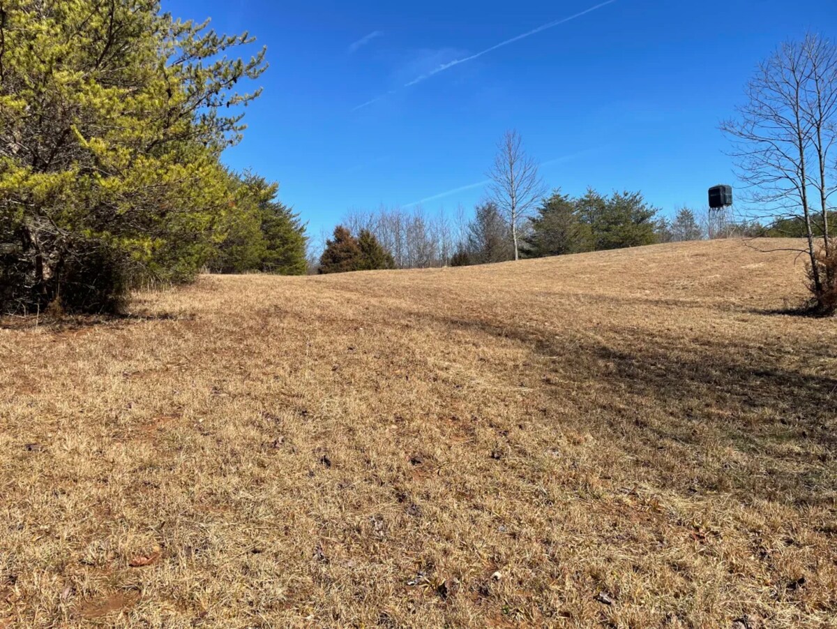 Taj Mahal Field 1 Tiendas de campaña en renta en Pilot Mountain