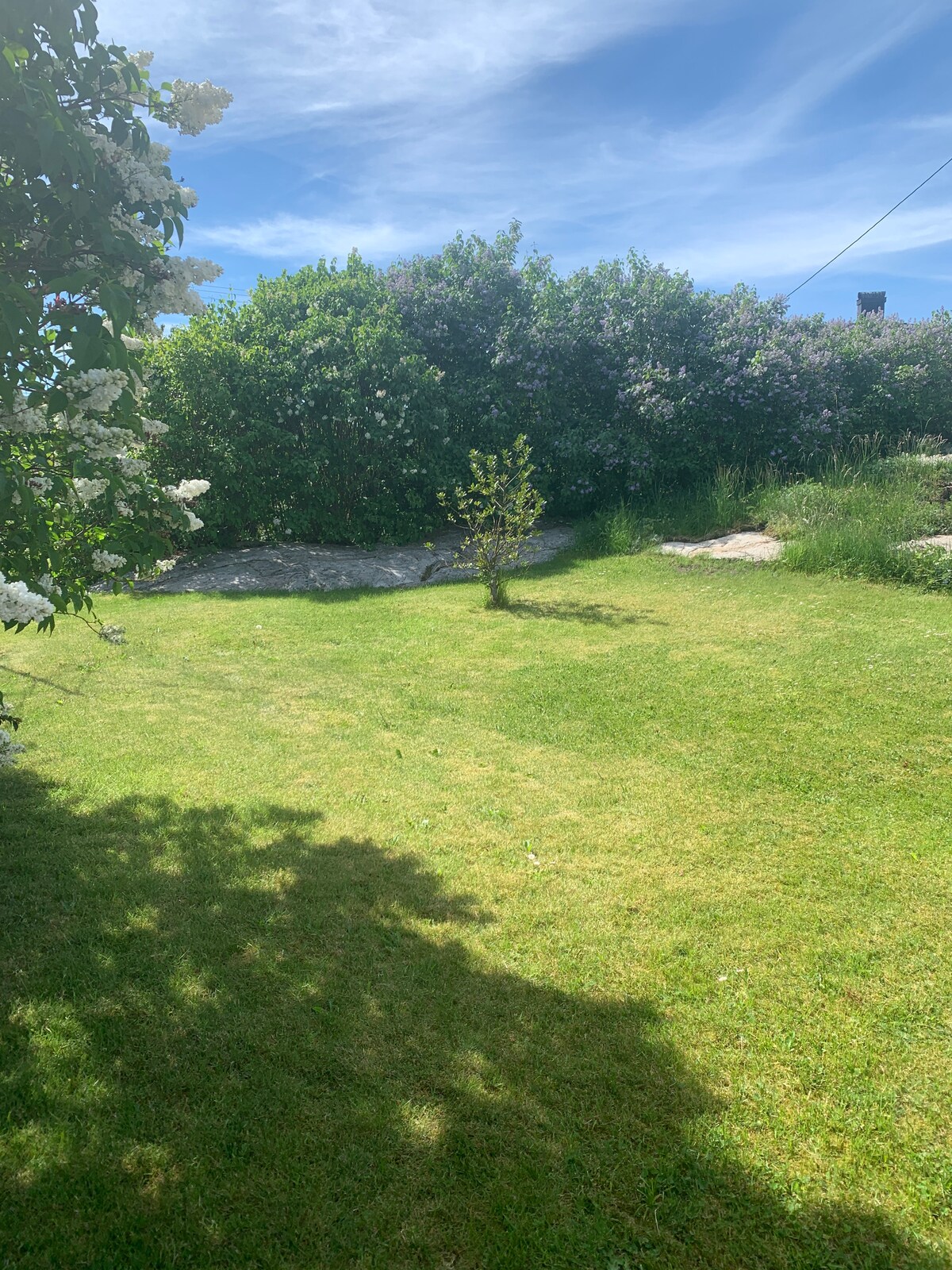 A spacious garden is seen, featuring a well-maintained grassy area. A small tree is positioned at the center, surrounded by lush greenery. Low stone features and bushes create a natural boundary, while bright blue sky and soft clouds are visible above.