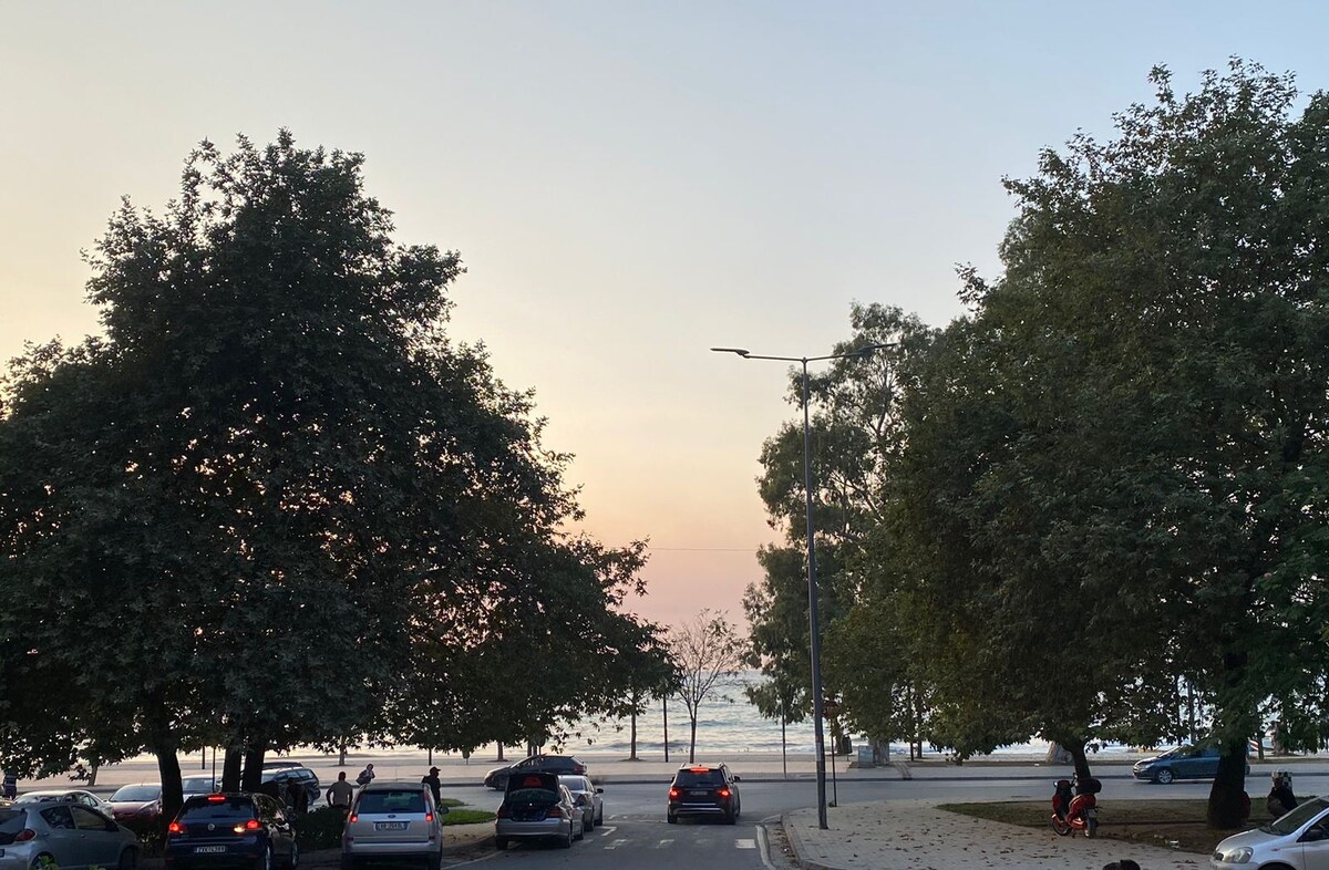 Listing 1123240694401559564