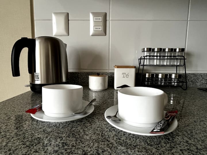Departamento Mono - Ambiente - Osorno