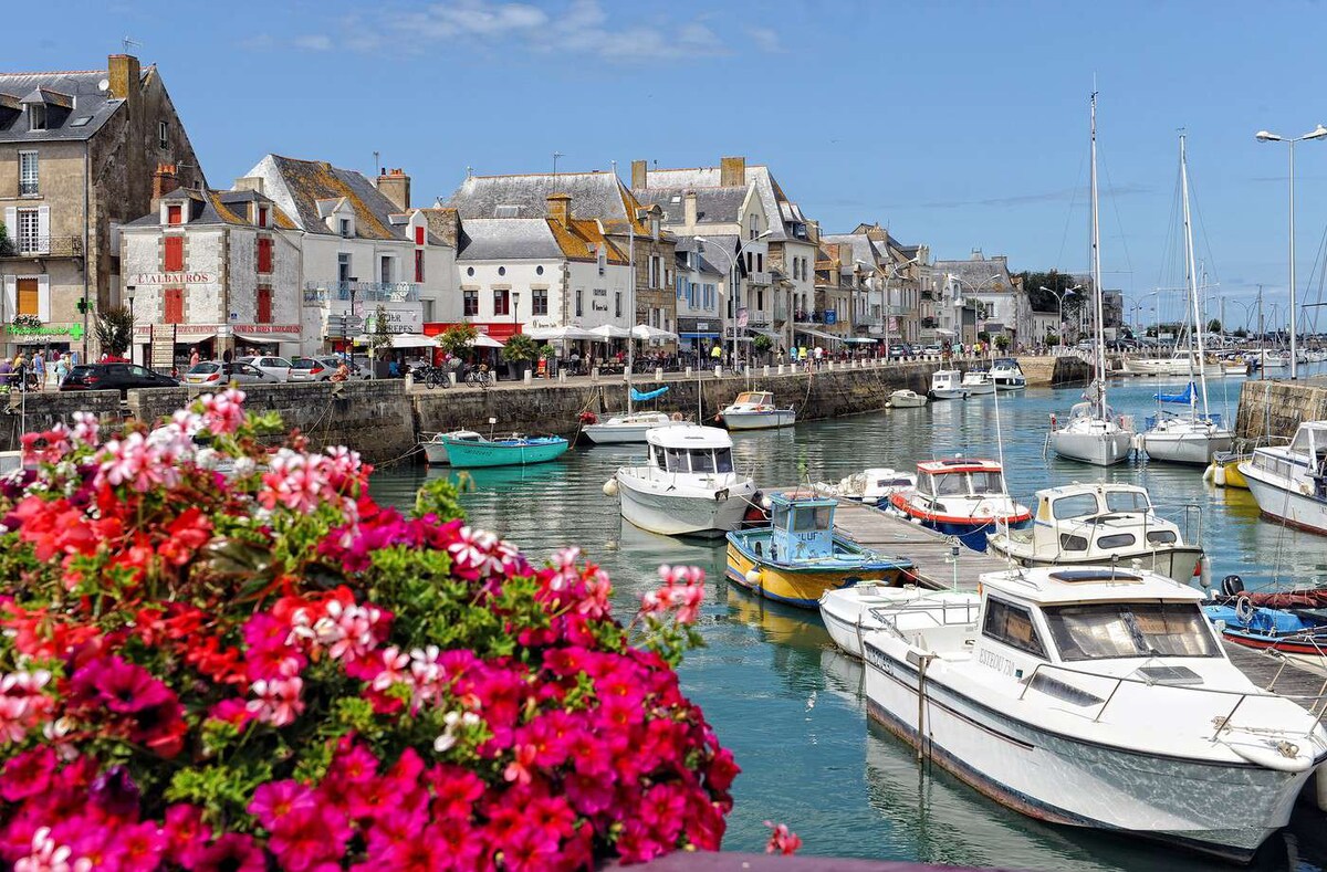 A tranquil waterfront scene features a variety of boats anchored in calm water, with vibrant flower planters in the foreground. Colorful buildings line the harbor, reflecting a lively atmosphere, while a clear blue sky enhances the overall brightness of the setting.