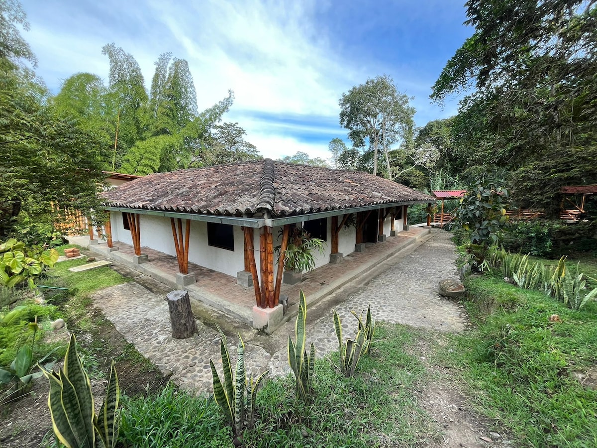 A traditional one-story house is set among lush greenery, featuring a tiled roof and wooden supports. Pathways of cobblestones lead to the entrance, surrounded by various plants and trees, creating a serene atmosphere in a natural setting.
