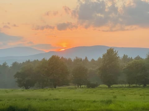 solar eclipse land rental-NY #14