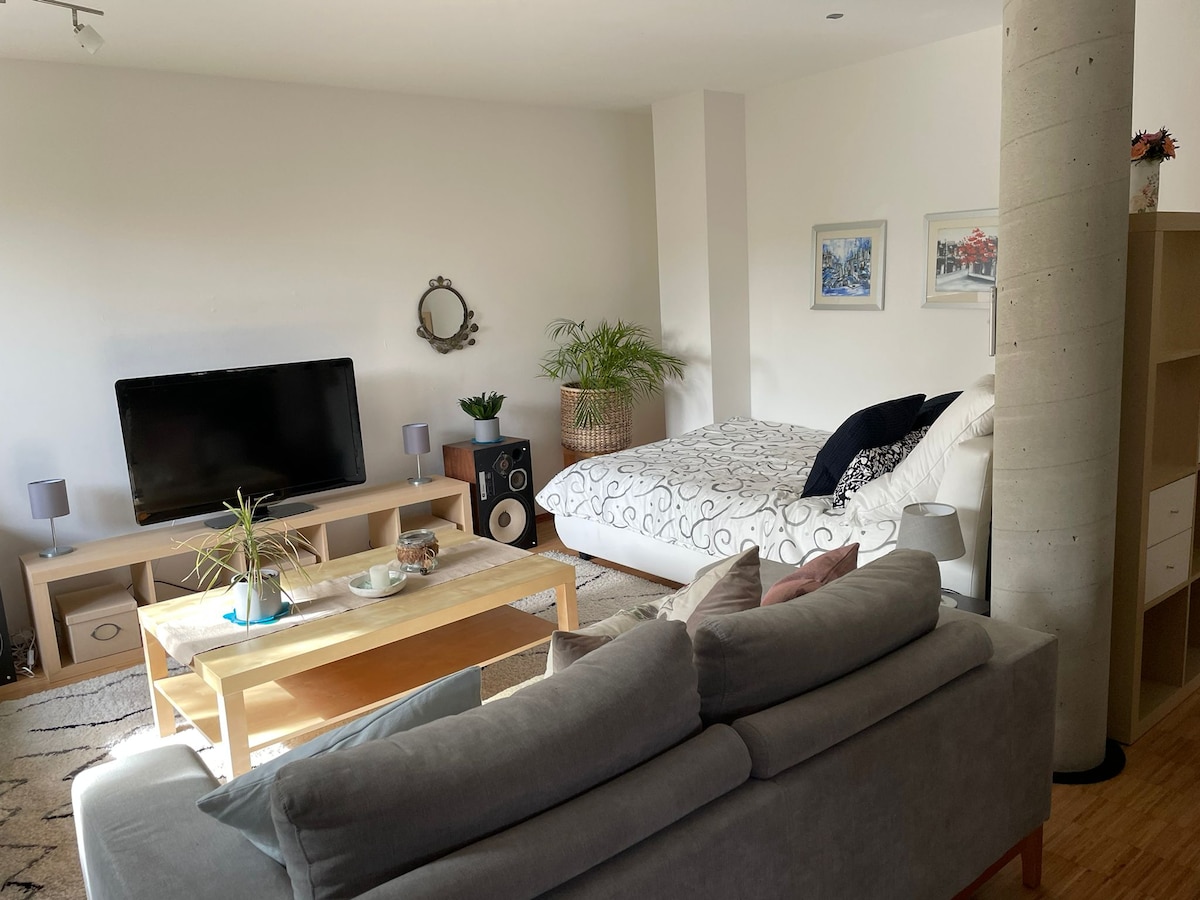 A cozy living area features a spacious bed with a patterned duvet and two decorative pillows. A soft gray sofa is positioned nearby, facing a television on a wooden media unit. Green plants are placed strategically around the room, enhancing the welcoming feel.