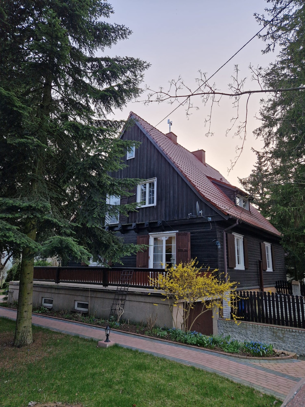 A traditional black wooden house with a red-tiled roof is surrounded by tall evergreen trees. A wooden railing encircles the balcony, and shuttered windows enhance the charming exterior. A well-maintained lawn features greenery and a few bushes, contributing to the serene atmosphere.