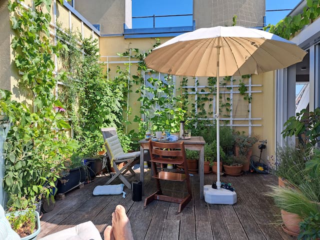 Familientraum mit Terrasse neben Schönbrunn