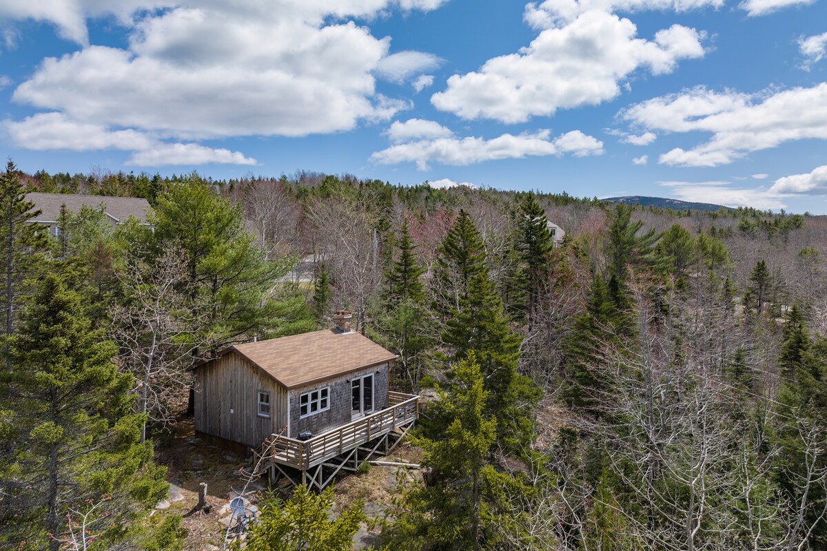 A rustic cabin is nestled among tall trees, surrounded by a serene natural landscape. The wooden exterior and deck are visible, complemented by a clear blue sky dotted with fluffy clouds. The peaceful setting offers a sense of seclusion within the wooded area.