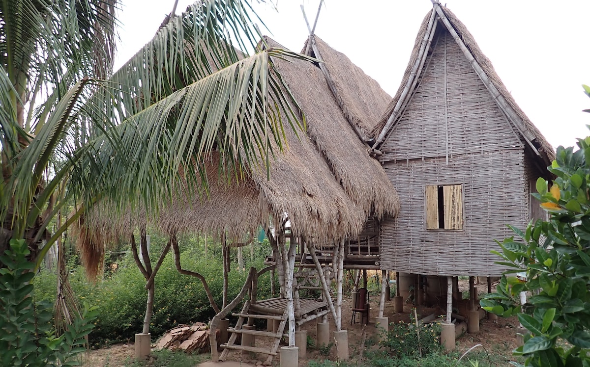 A traditional bamboo bungalow with a distinctive thatched roof is surrounded by lush greenery. The elevated structure is supported by wooden poles, creating a spacious area underneath. Openings are visible, allowing natural light to enter while maintaining a connection with the vibrant outdoor environment.