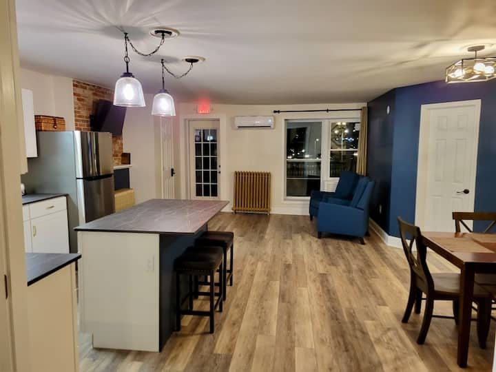 Historic Skylight Studio (1 Bedroom Apartment) - Geneva