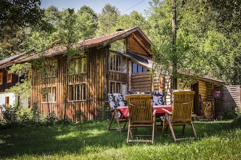 Log cabin in the middle of the forest
