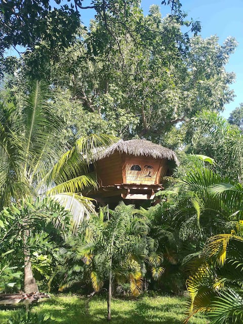 Ecolodge in the Trees (Rum) – Habitation Getz