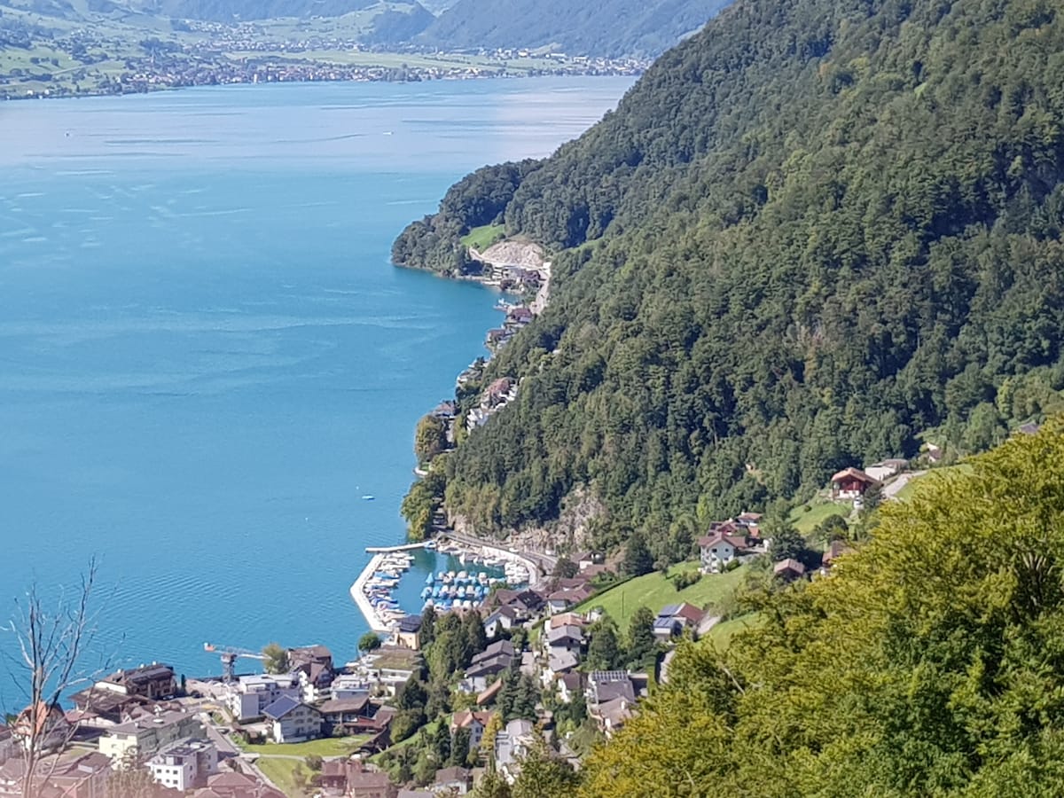 A scenic view of the Vierwaldstättersee is captured, showcasing the tranquil blue waters bordered by a green mountain landscape. Small boats are visible in the marina near the shoreline, and charming homes are nestled along the banks, offering a glimpse of the peaceful surroundings.